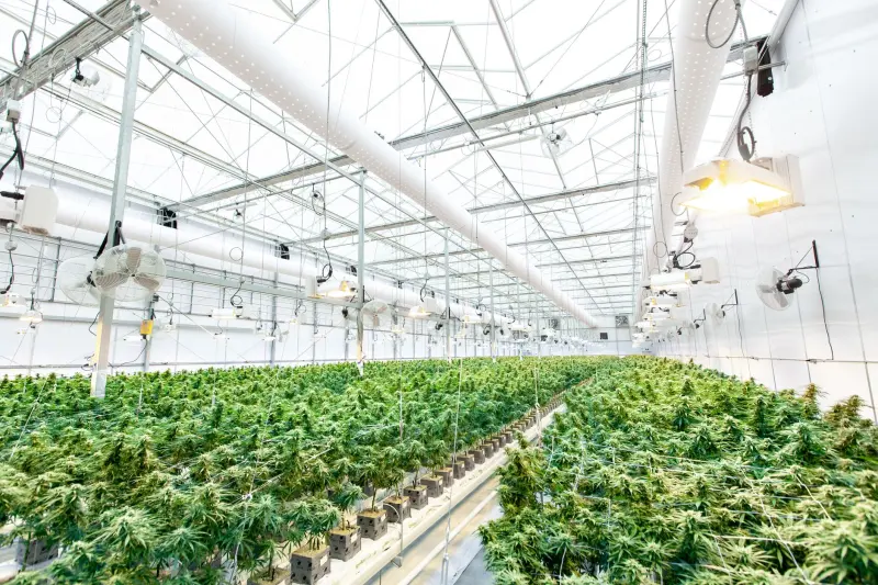 原创潮牌服饰面料工艺解析：千娱音2024夏季系列技术亮点
