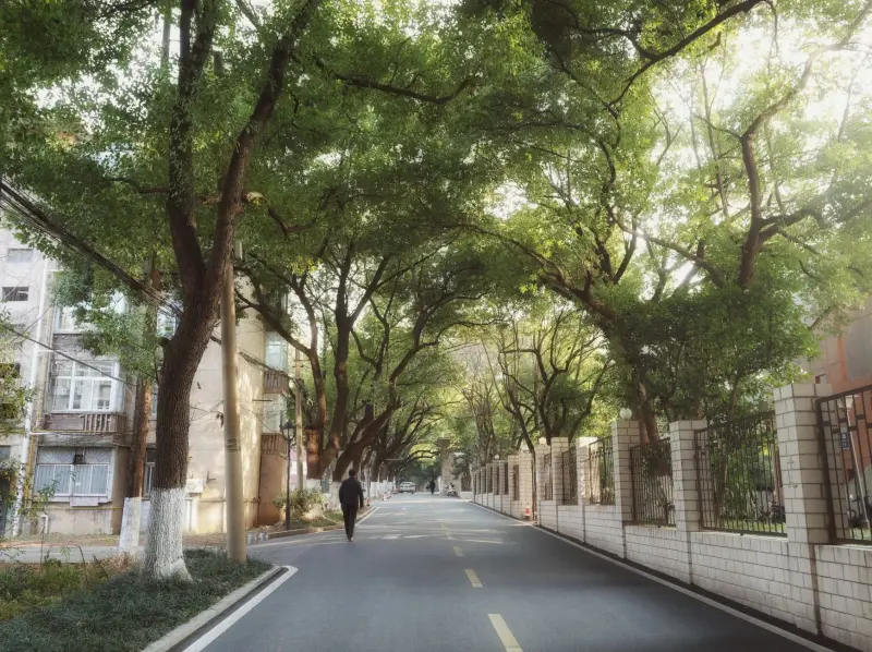 原创潮牌服饰面料选择趋势：2025年春夏流行材质解析
