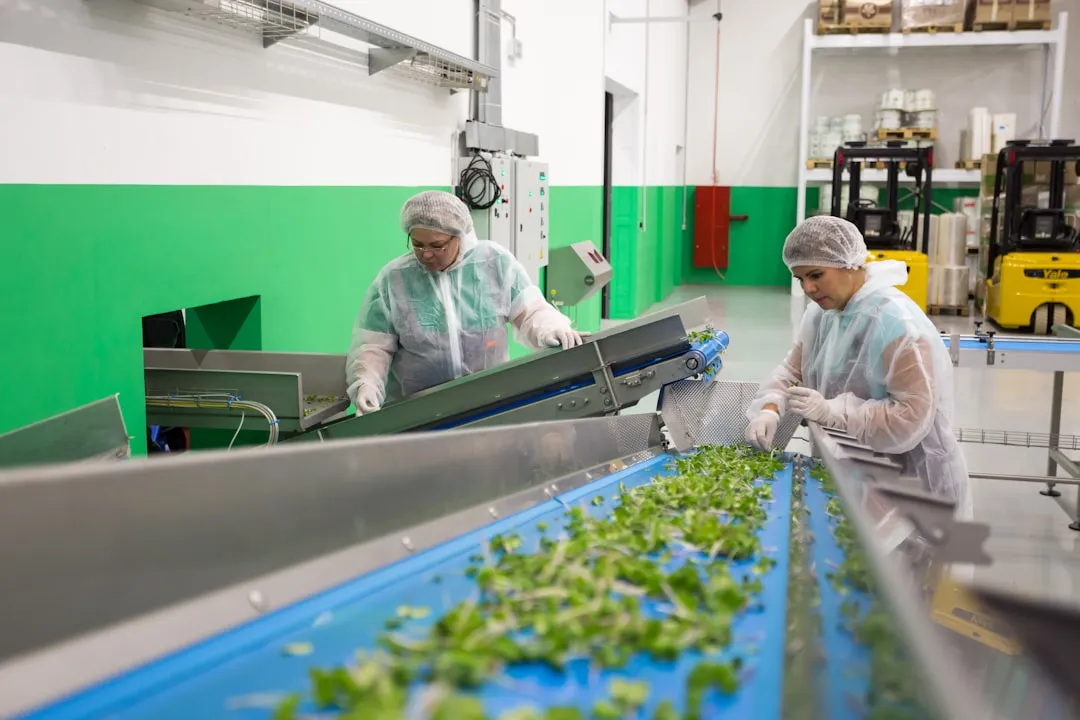 原创设计潮牌服饰的版型工艺与面料选择标准解析